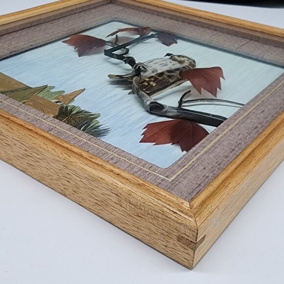Vintage Bird Eagle Art Shadow Box Feathers Leaves Wooden Frame Nature Scene - Picture 10 of 12